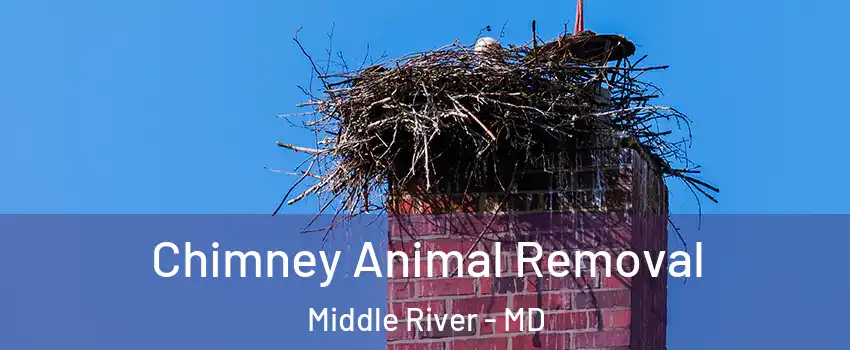 Chimney Animal Removal Middle River - MD