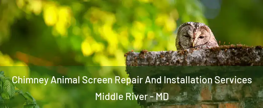  Chimney Animal Screen Repair And Installation Services Middle River - MD