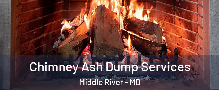  Chimney Ash Dump Services Middle River - MD
