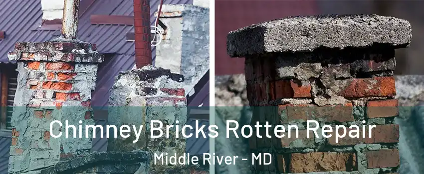  Chimney Bricks Rotten Repair Middle River - MD