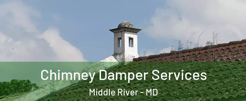  Chimney Damper Services Middle River - MD