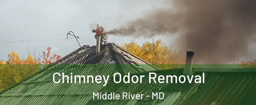  Chimney Odor Removal Middle River - MD
