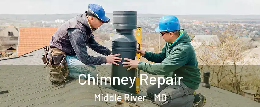  Chimney Repair Middle River - MD