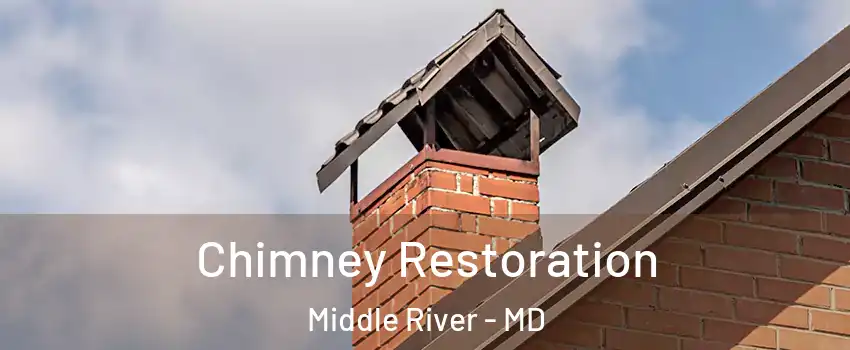  Chimney Restoration Middle River - MD