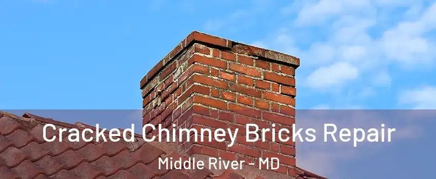  Cracked Chimney Bricks Repair Middle River - MD