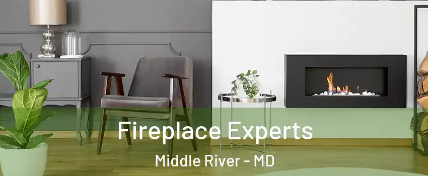  Fireplace Experts Middle River - MD
