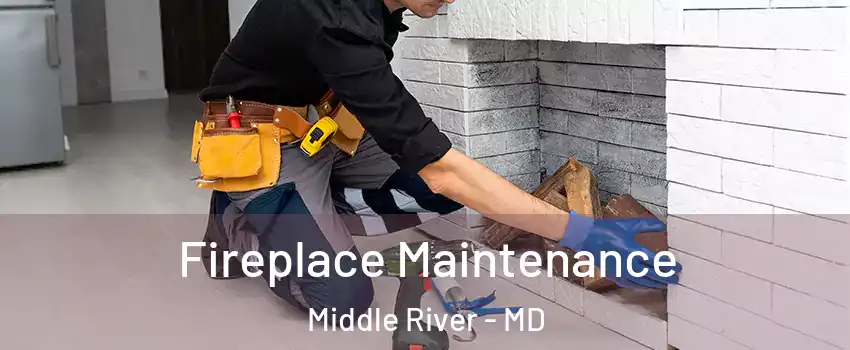  Fireplace Maintenance Middle River - MD