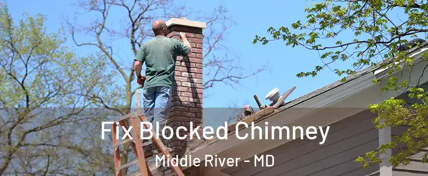  Fix Blocked Chimney Middle River - MD