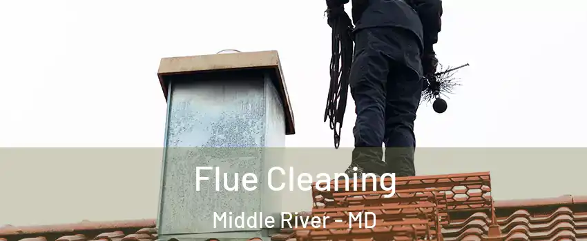  Flue Cleaning Middle River - MD