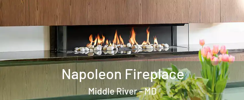  Napoleon Fireplace Middle River - MD